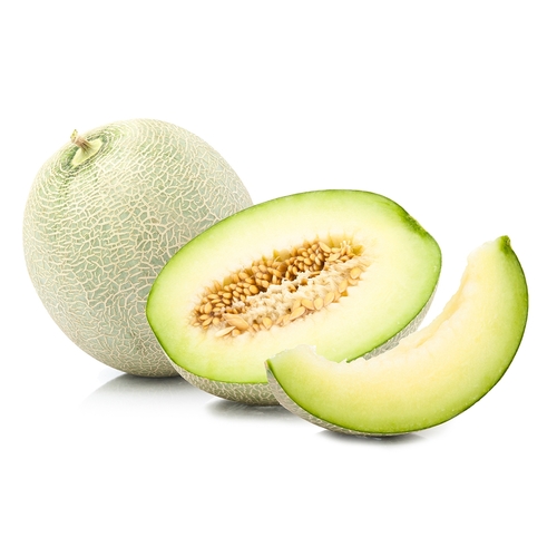 Melon - Honeydew - Large