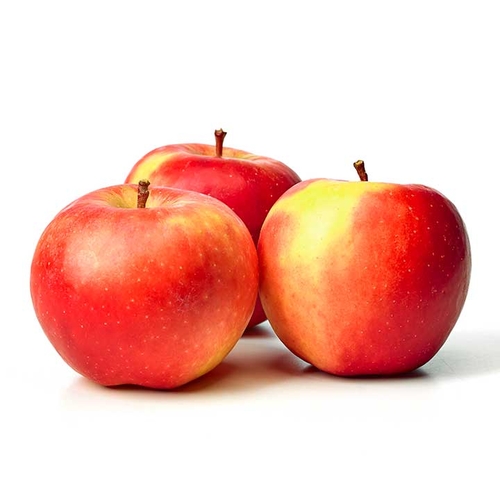 Apples - Salish - BC Fresh Crop, 225 Gram