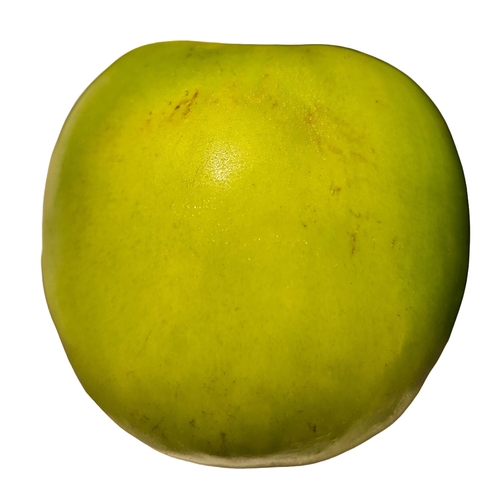 Emerald Jujube Date, 100 Gram