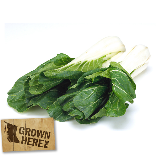 Bok Choy, 775 Gram