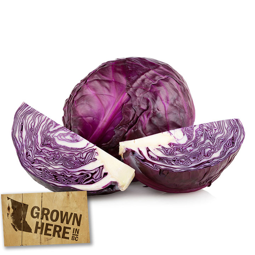 Cabbage - Red, 975 Gram