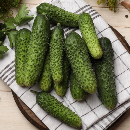 Cucumbers - Pickling