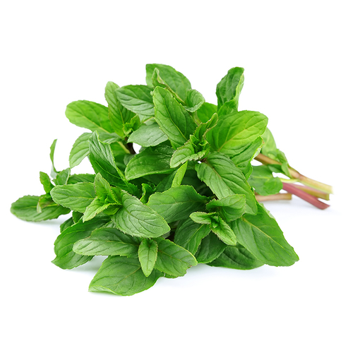 Mint