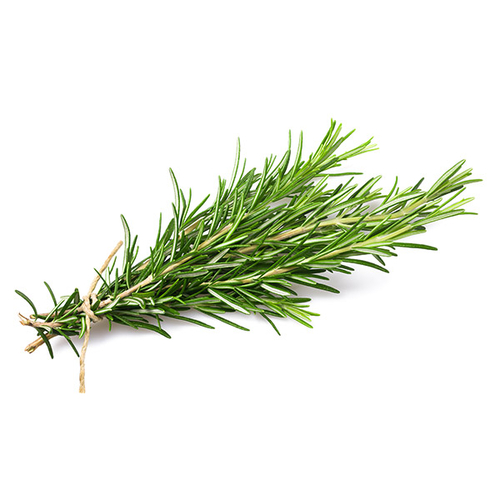Rosemary