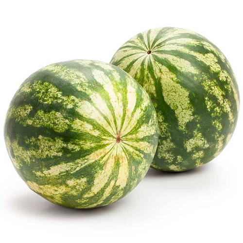 Melon - Watermelon Mini Organic, 1 Each