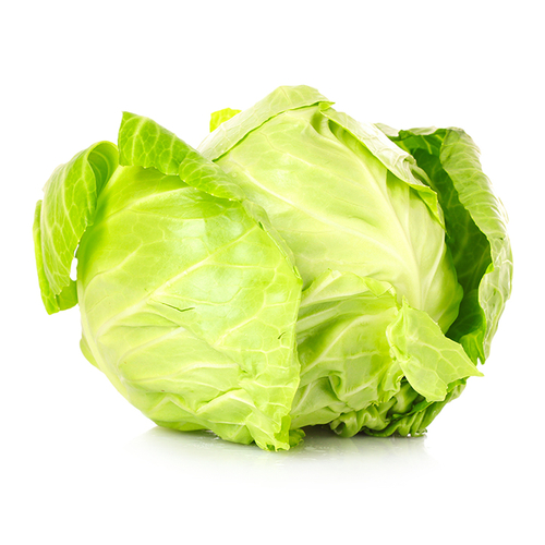 Cabbage - Green Organic, 825 Gram