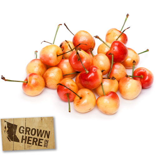 Cherries - Golden / Rainier Organic 1/2lb