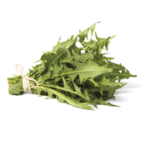 Dandelion Greens Organic Bunch, 1 Each