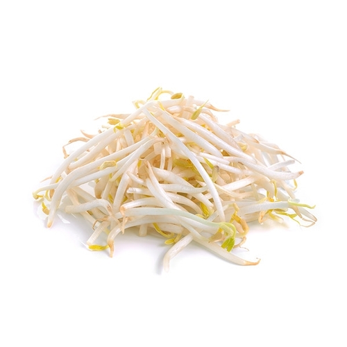 Bean Sprouts 454g, 1 Each