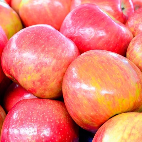 Apples - Ambrosia Organic - Bag 3lb, 1 Each