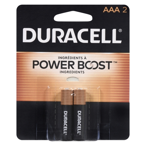 Duracell - Power Boost Batteries AAA 2pk, 1 Each