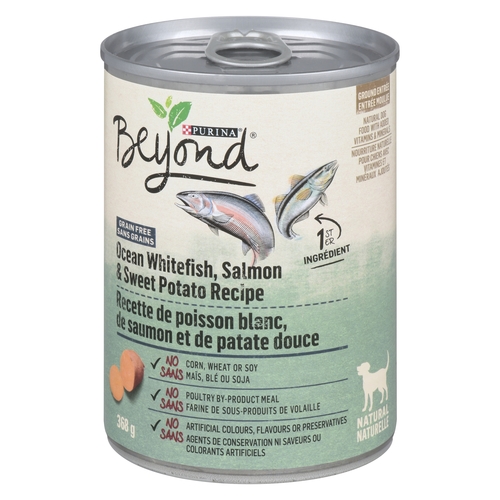 Purina - Beyond Grain Free Natural Dog Food - Ground Entree Ocean Whitefish, Salmon & Sweet Potato 368g, 1 Each