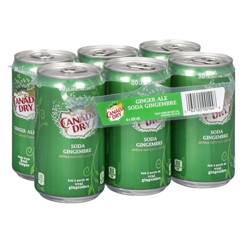 Canada Dry - Ginger Ale - Mini Cans 6/222ml, 1 Each