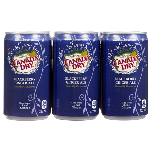 Canada Dry - Ginger Ale - Blackberry - Mini Cans 6/222ml, 1 Each