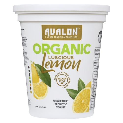 Avalon Dairy - Organic Whole Milk Probiotic Yogurt - Luscious Lemon 2.9% m.f. 650g, 1 Each