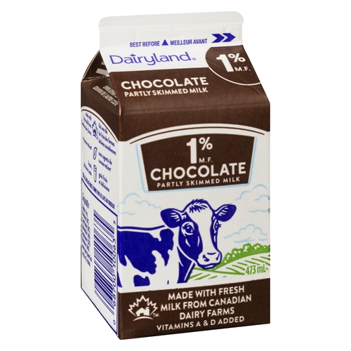 Dairyland - Chocolate Milk - 1% m.f. 473ml, 1 Each