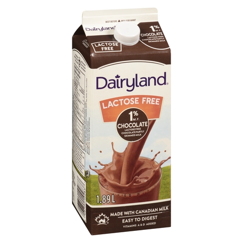 Dairyland - Chocolate Milk - Lactose Free - 1% m.f. 1.89l, 1 Each