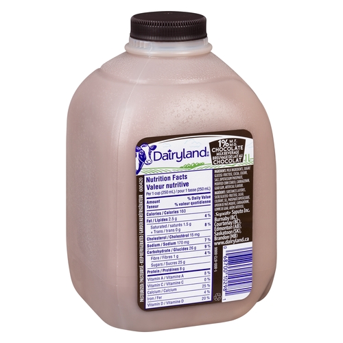 Dairyland - Chocolate Milk - 1% m.f. 1l, 1 Each