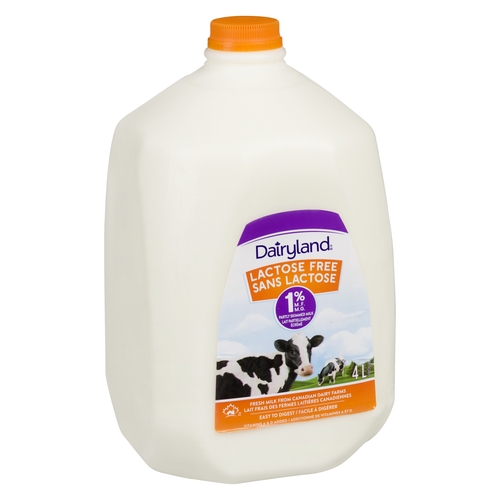 Dairyland - Milk - Lactose Free - Partly Skimmed - 1% m.f. 4l, 1 Each