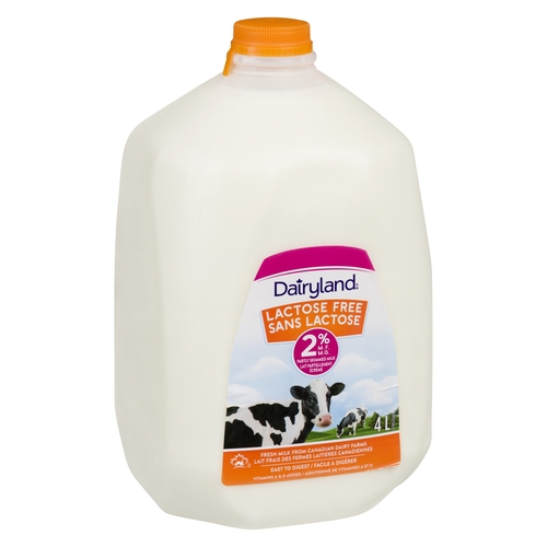 Dairyland - Milk - Lactose Free - Partly Skimmed - 2% m.f. 4l, 1 Each