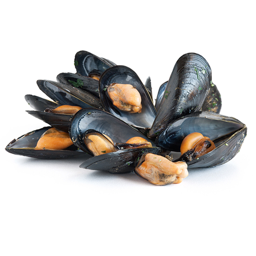 Fresh Mussels - Avg. 20 Pieces Per Pack, 454 Gram