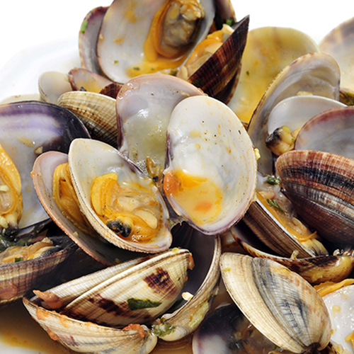 Fresh Clams, 500 Gram