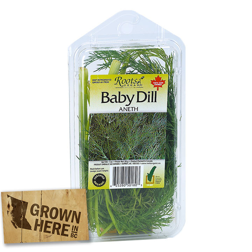 Roots Organic Herbs - Baby Dill 28g