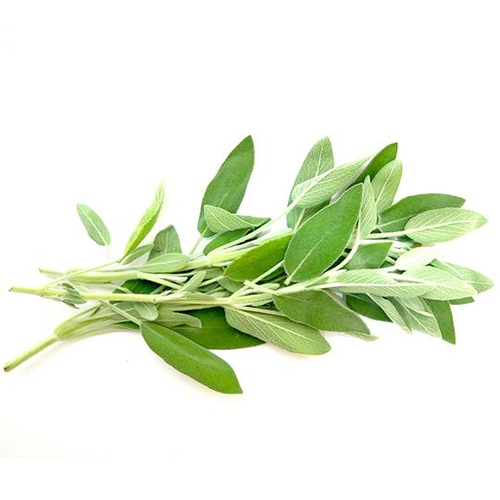 Roots Organic Herbs - Sage 7g, 1 Each