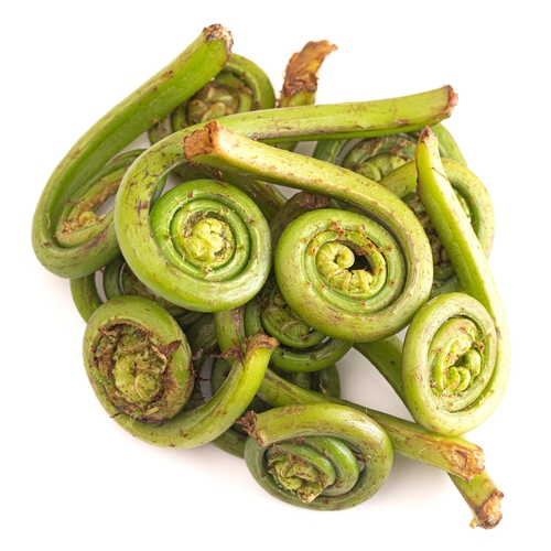 W.COAST FRESH FIDDLEHEADS 170g, 1 Each