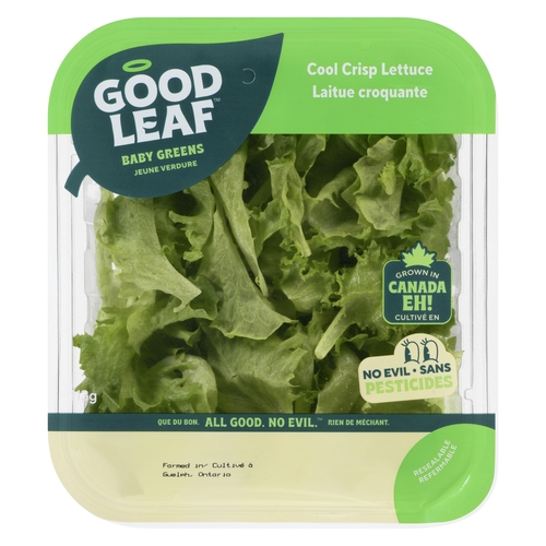 GoodLeaf - Cool Crisp Lettuce Baby Greens 113g