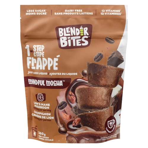 Blender Bites - Organic One Step Frappe - Mindful Mocha 360g, 1 Each