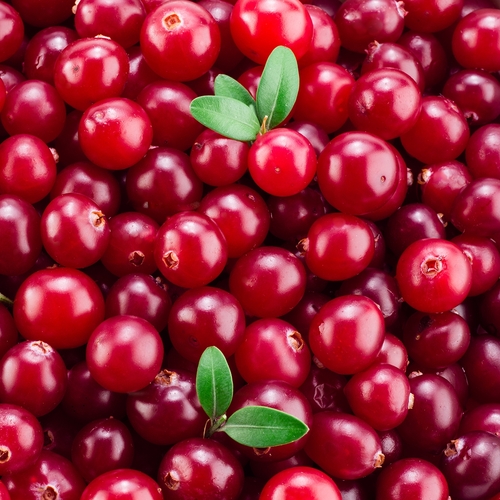 Cranberries - Clamshell 454g, 1 Each