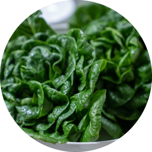 Avery Farms - Roma Romaine 300g, 1 Each