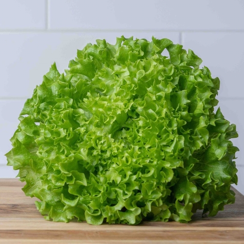 Avery Farms - Sweet Leaf Lettuce, 1 Each