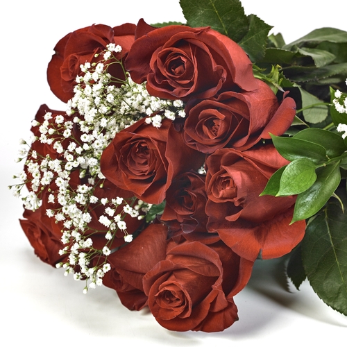 Valentine Roses - Dozen with Filler