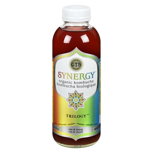 GT's - Organic Synergy Raw Kombucha - Trilogy 480ml, 1 Each