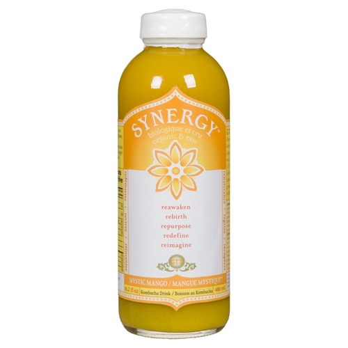 GT's - Organic Synergy Raw Kombucha - Mystic Mango 480ml, 1 Each