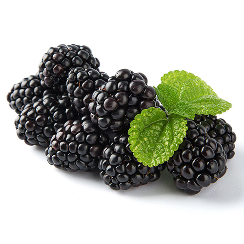 Blackberries - Organic Fresh 170g, 1 Each