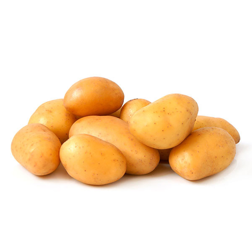 ORGANIC POTATOES-YELLOW 3lb, 1 Each