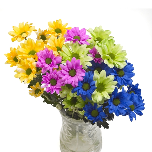 Bouquet - Crazy Daisy, 1 Each