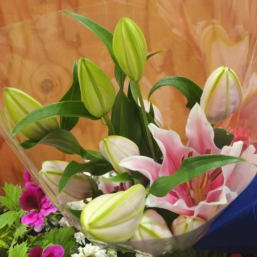 Lily - Oriental 3 Stem, 1 Each