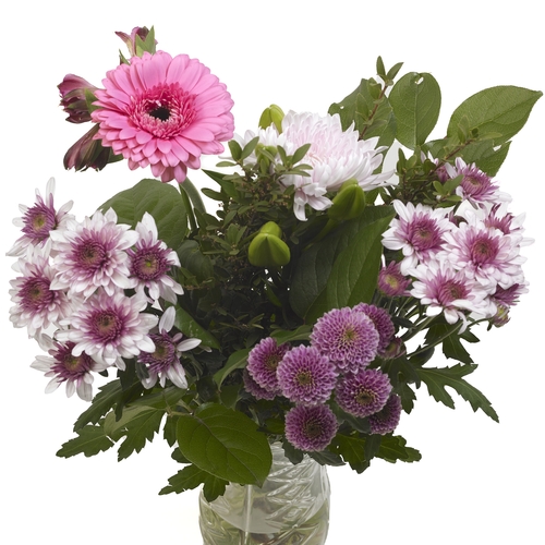 Bouquet - Eleation, 1 Each