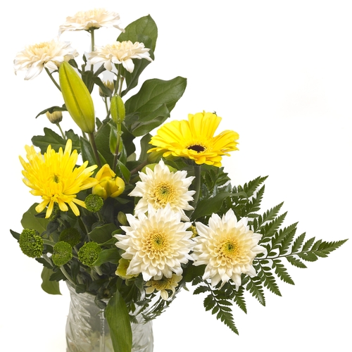 Bouquet - Panorama, 1 Each