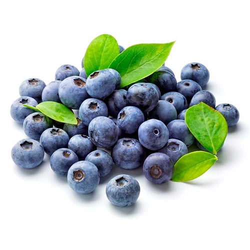Blueberries Organic 1pt 1pt